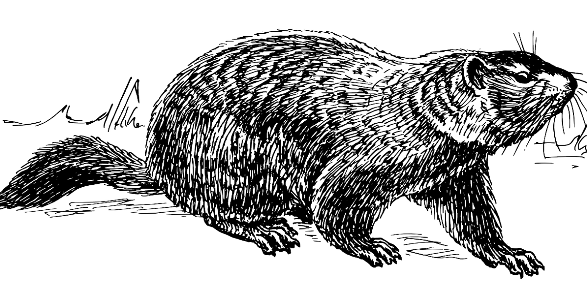 Free Know-how for Academics: Groundhog Day Defined