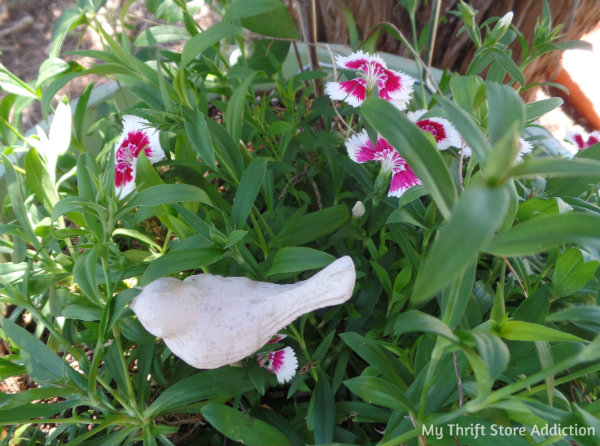 Signs of Spring at Secret Garden Herbs mythriftstoreaddiction.blogspot.com A pretty pot of dianthus