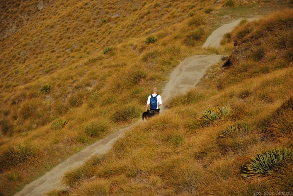 Roys Peak ( Nowa Zelandia) - niech to szlak.