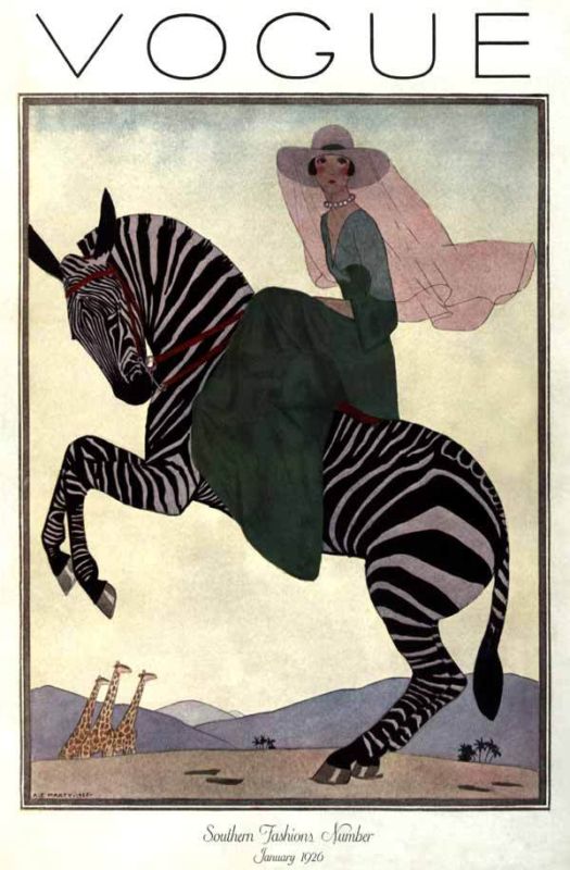 Kitten Vintage: Vintage Zebras