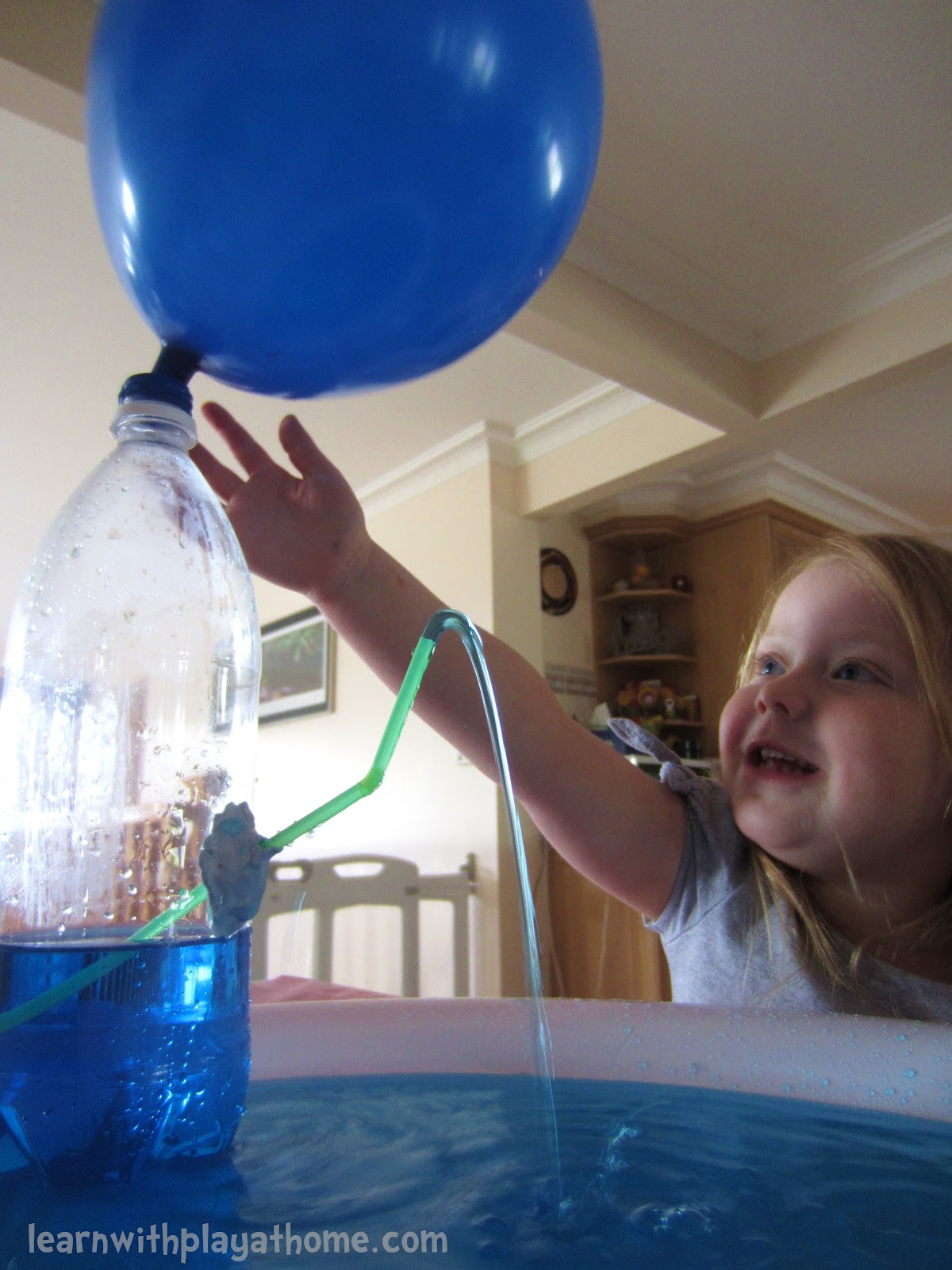 Science Water Bottle