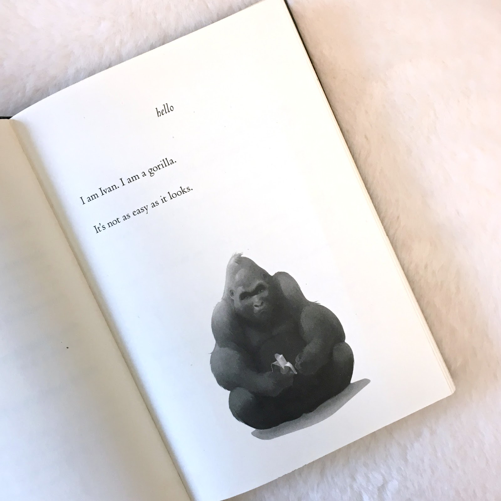 The One And Only Ivan Quotes Jactionary: Book Review: The One And Only Ivan By Katherine Applegate