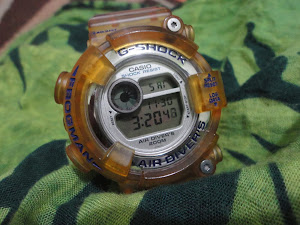 Casio Frogman DW 8250 WC ( Sold )