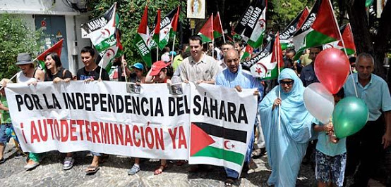 IU lleva al Congreso de los diputados los incidentes durante manifestación de apoyo al saharaui en Algeciras.