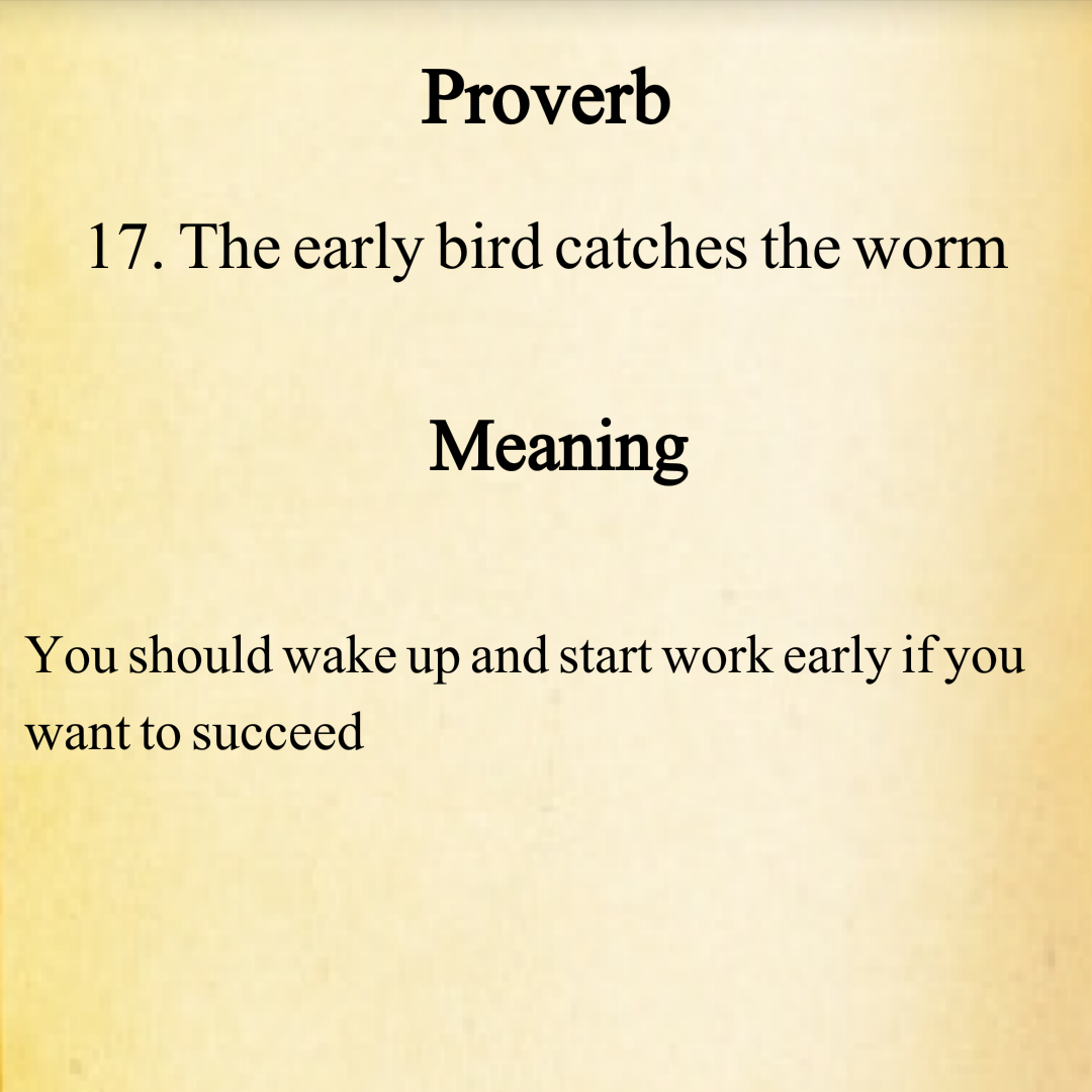 DIL KI DUNYA the early bird catches the worm English, PROVERBS, with