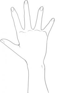 how to draw anime hands step 8