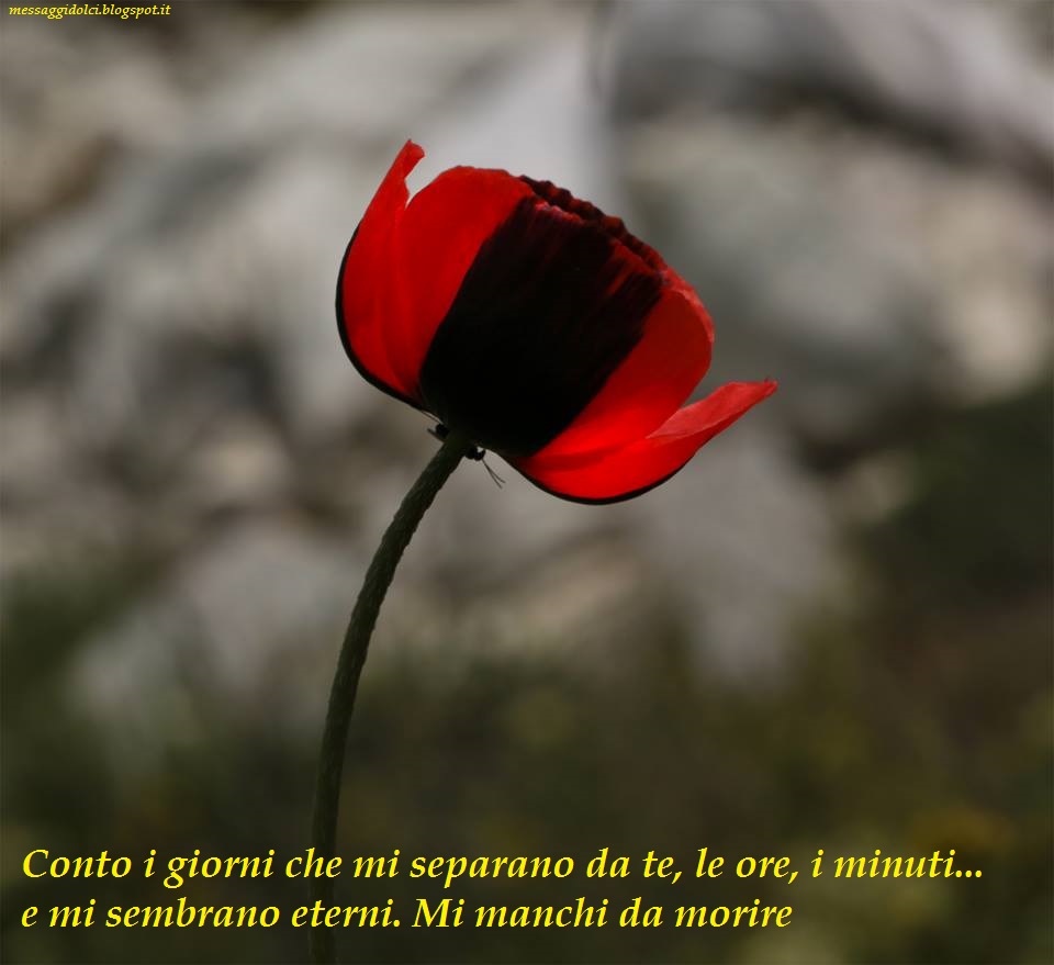 Ti Manchi Tanto Frasi Messaggi Dolci