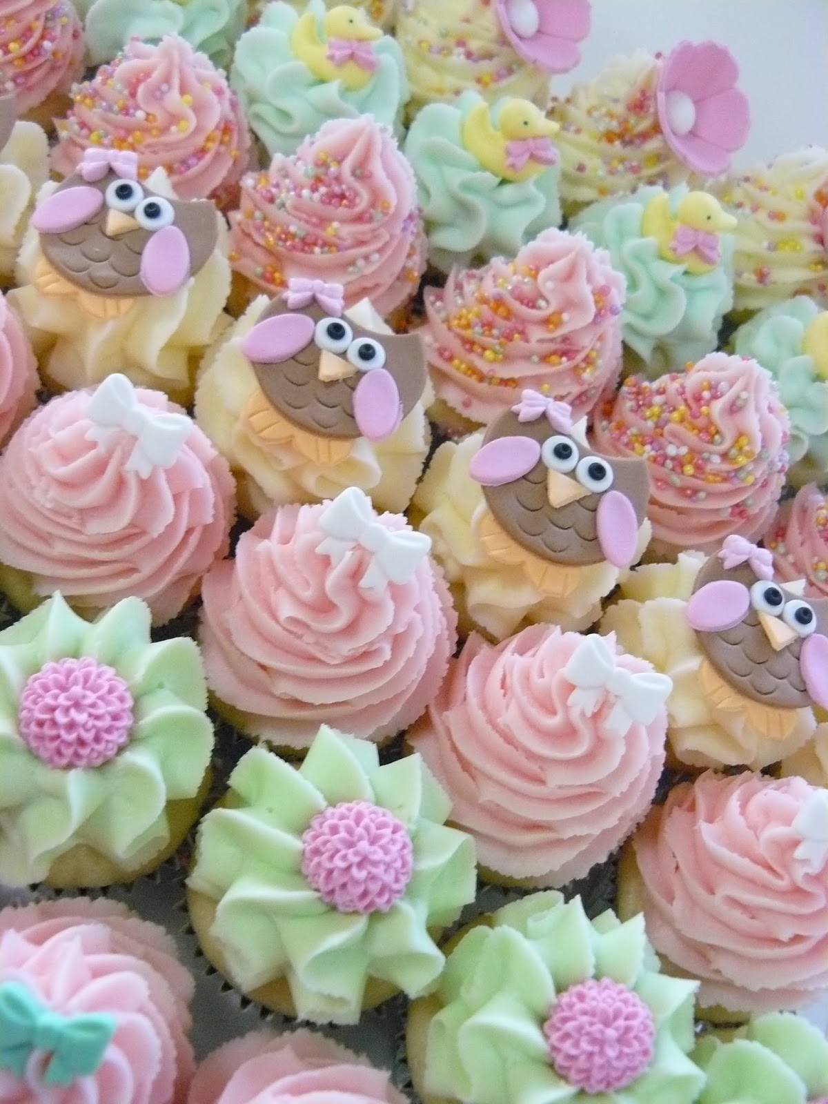 The Cup Cake Taste Brisbane Cupcakes Mini Mix of Sweet cupcakes