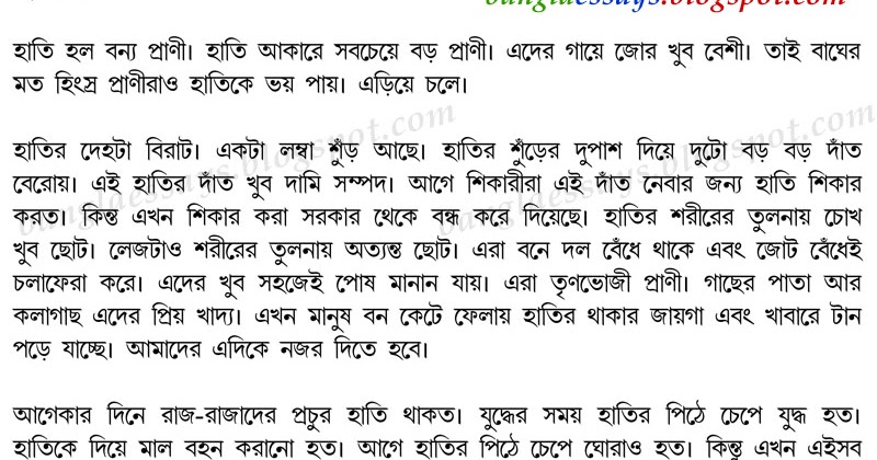 Bengali paragraph book image