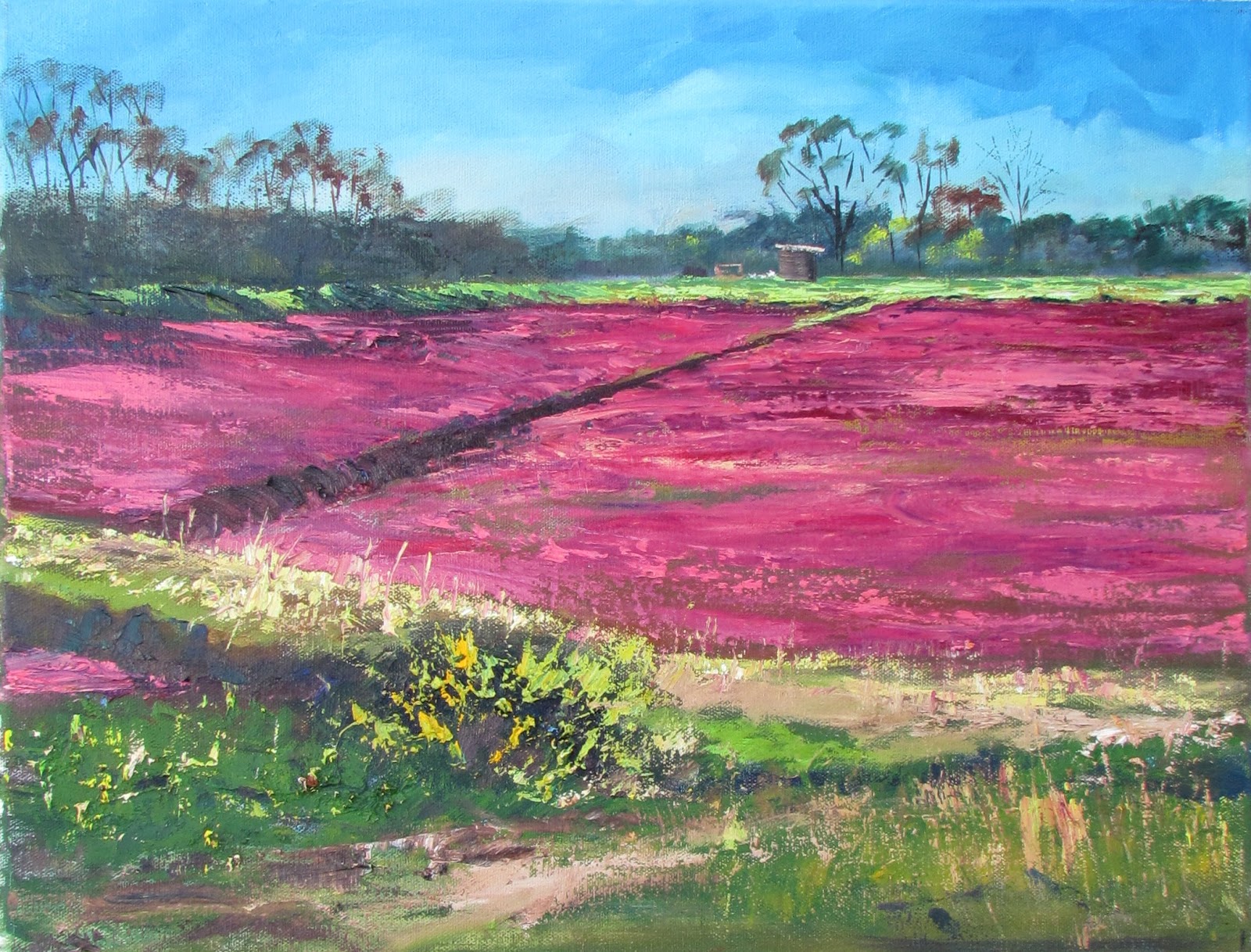 MAUREEN VEZINA OIL PAINTER Plucky Cranberry Bog