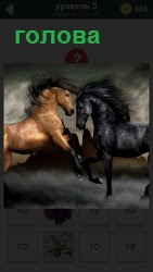 Изображение двух великолепных коней разной масти, головой к друг другу, словно бодаясь, поднимая копыта