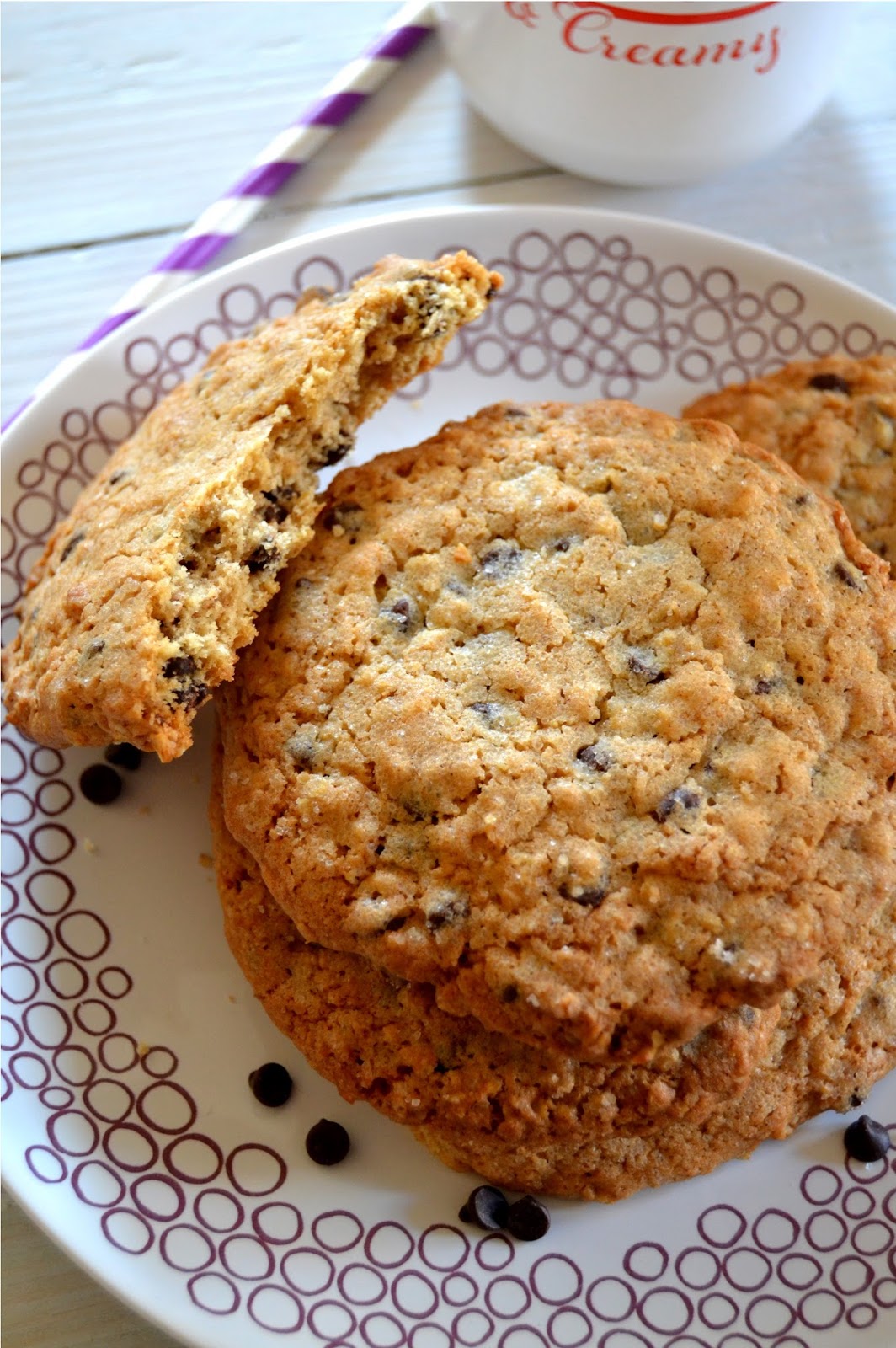 Cakeyboi Classic Chocolate Chip Cinnamon Oatmeal Cookies