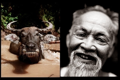 Life along the mighty Mekong River 