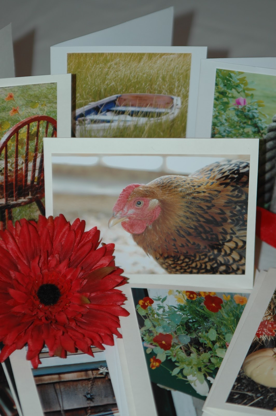 deborah jean's DANDELION HOUSE and GARDEN Home Goods