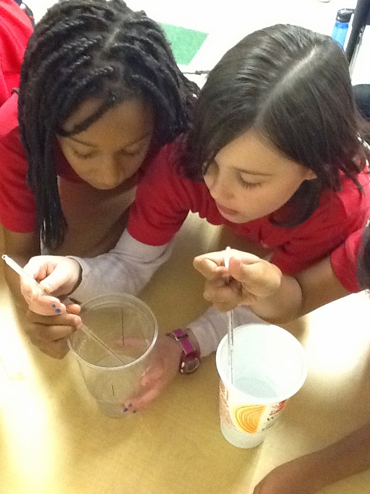 2nd Grade Science Experiments