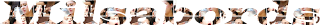 milsabords+karina+et+copine.png milsabords+karina+et+copine.png