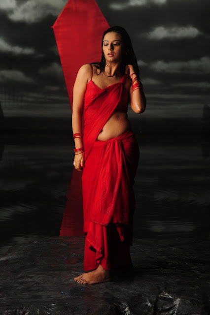 Telugu Cinema Wallpapers Isha Chawla Hot Wet Red Saree Stills Prema Kavali Movie