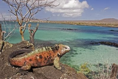 Fotos turísticas de las Islas Galápagos