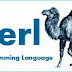 25 Best Perl Programming Interview Questions and Answers