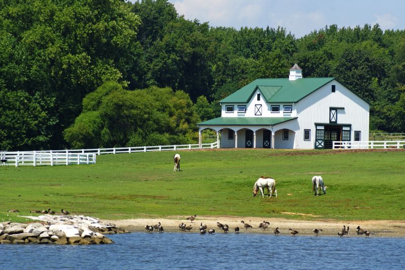 Life in the Slow Lane (The Pearl) Aug. 17 Fairlee Creek, MD