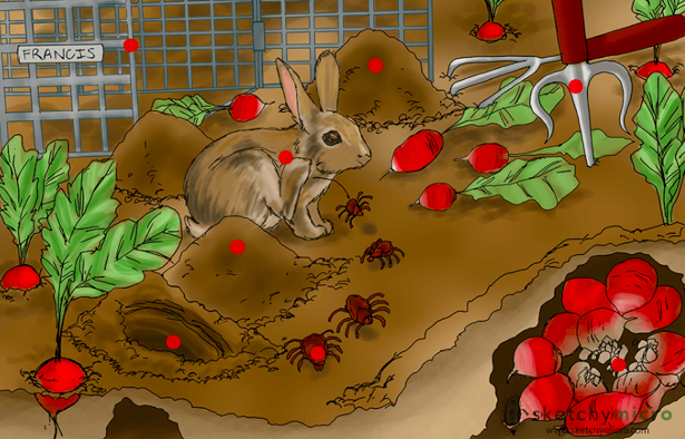 Glucophage sr 500mg price