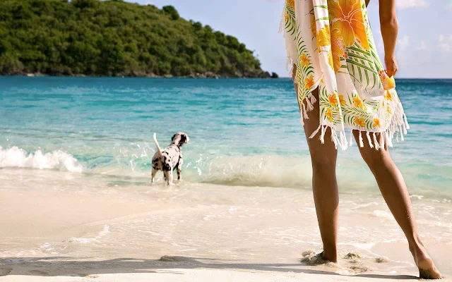 Vrouw en hond op het strand in de zomer