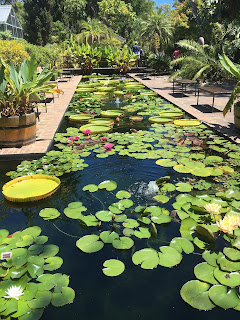 Botanischer Garten Stellenbosch