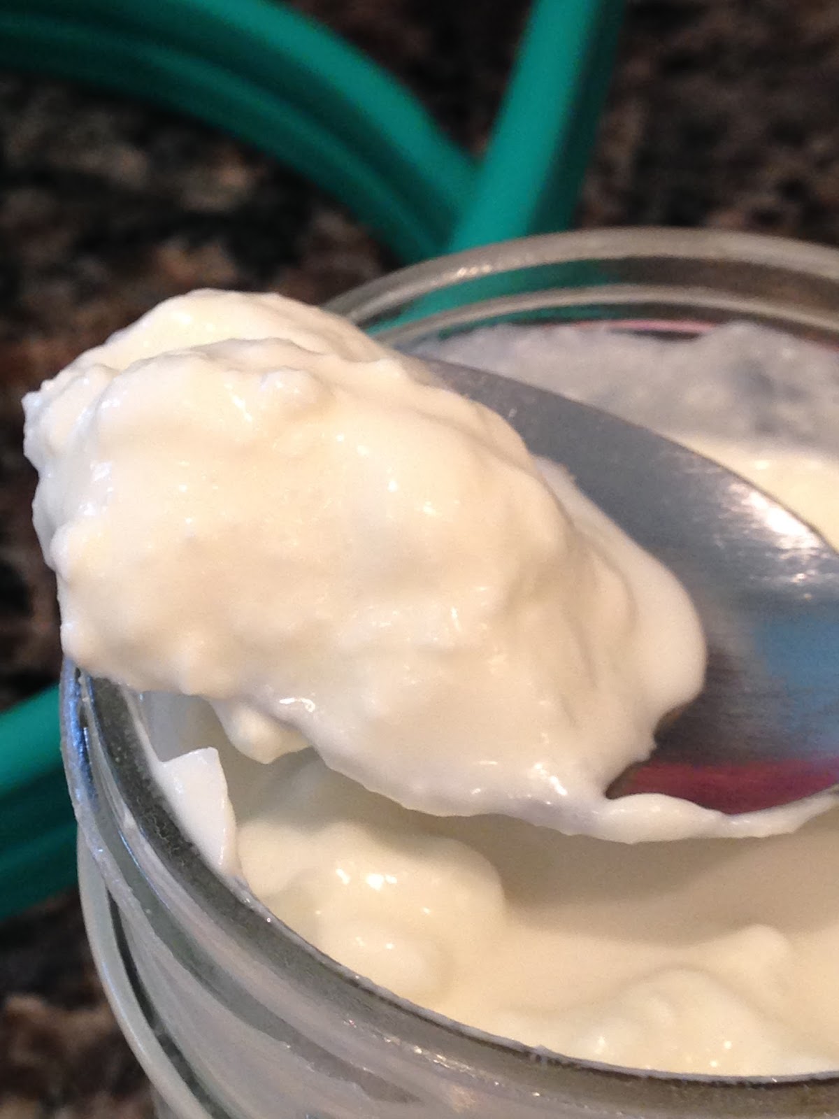 Sur la Petite Kefir Yogurt!