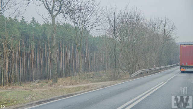 Wycinka drzew pomiędzy Szubinem a Bydgoszczą