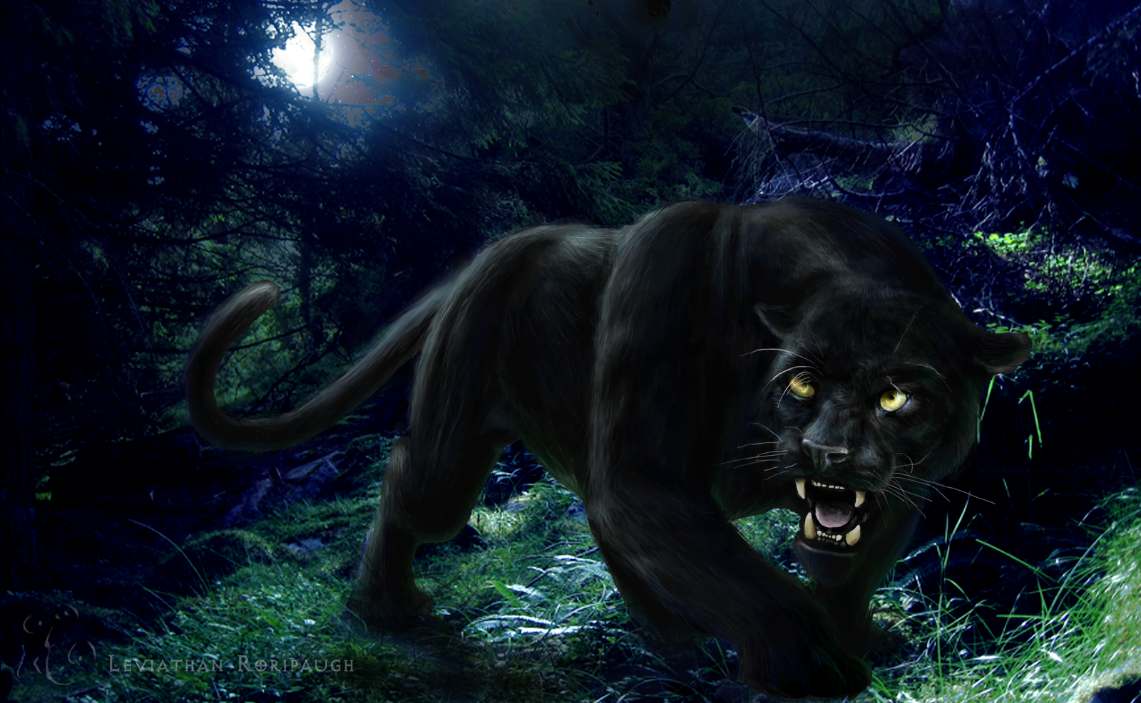3d Black Panther Wallpaper Image Num 42