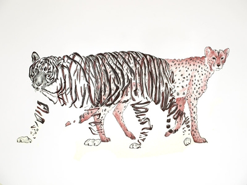 10-Tiger-and-Cheetah-Jaume-Montserrat-Illustrations-of-Ribbon-Animals-in-Emptyland-www-designstack-co