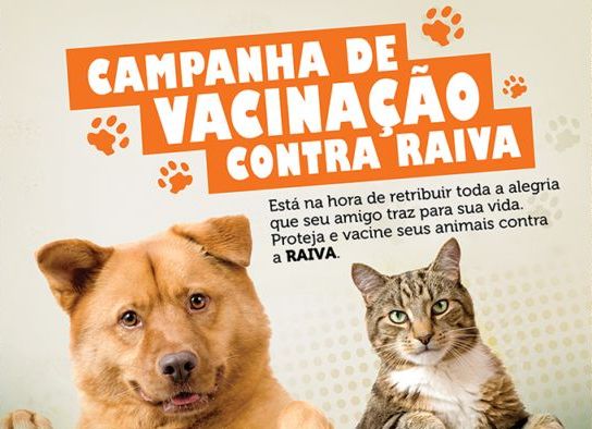 Campanha de vacinação antirrábica será realizada em Santa Cruz do Capibaribe