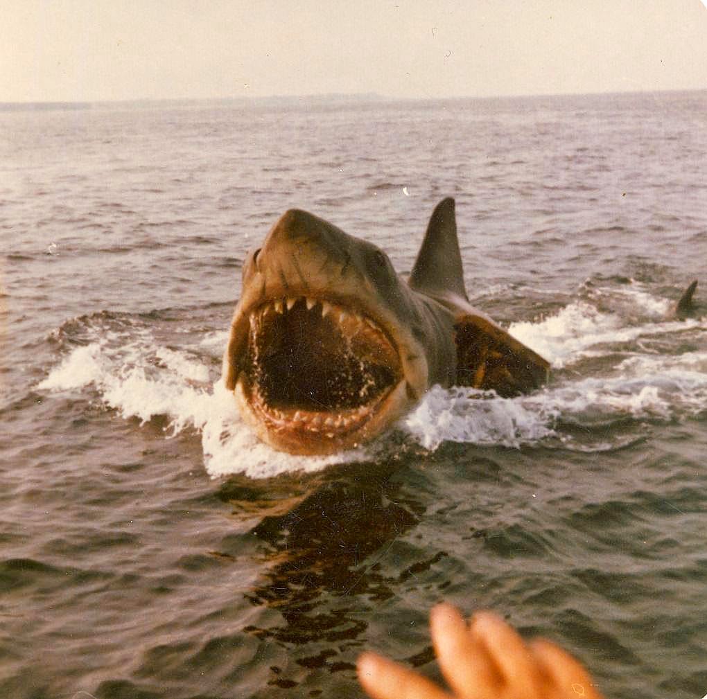 Amazing behind the scenes photos from the making of the film Jaws 1975 - 99