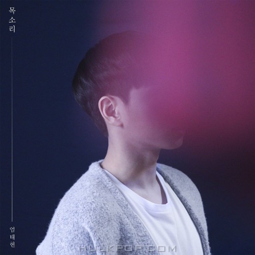 Uhm Tae Hyun – 목소리 – Single