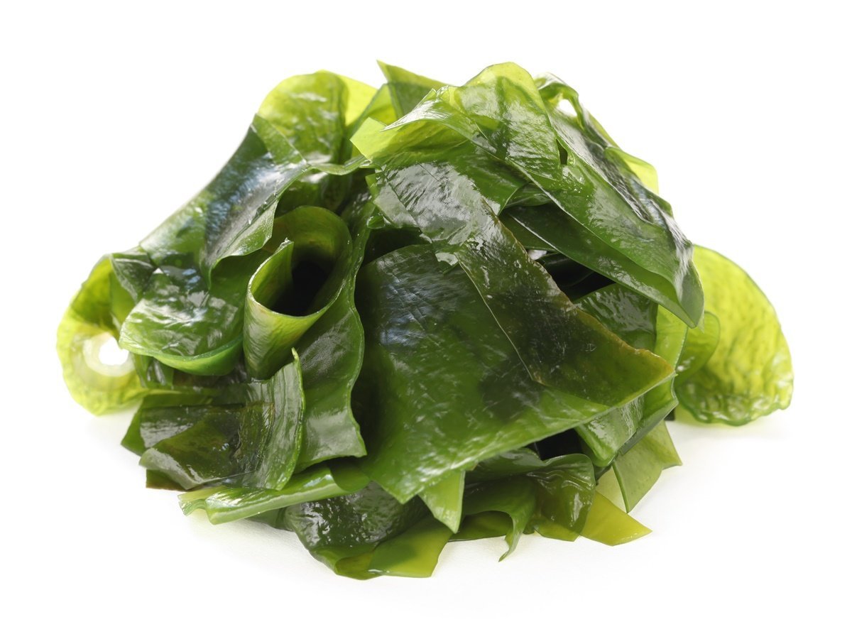 All of the Medicinal Uses of Seaweed Used for Centuries Fresh Seaweed