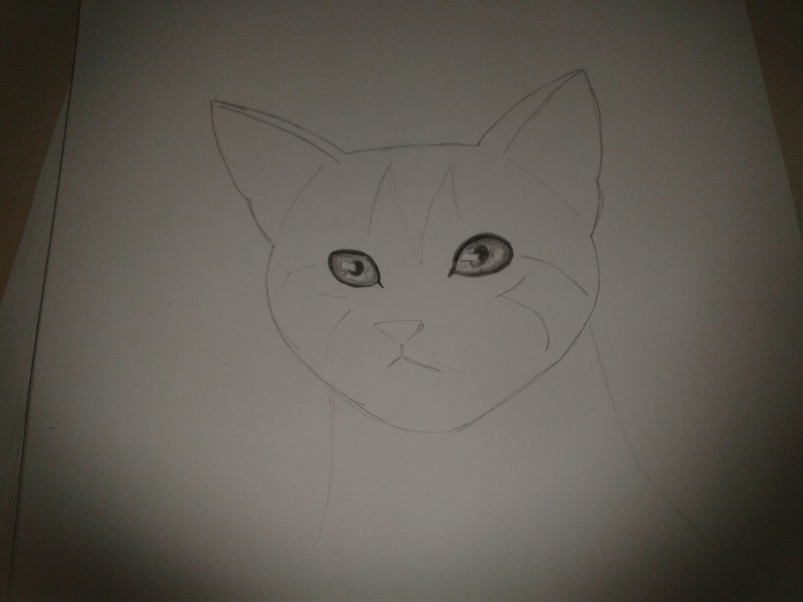 مدونة أرسم بالرصاص كيف ترسم قطة جميلة بالخطوات تعلم الرسم تعلم