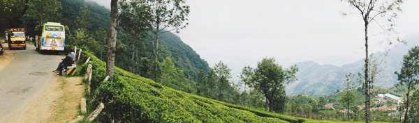 Coonoor-Plantatii-de-ceai-Sudul-Indiei