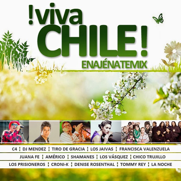 BoutzeroDJ-Enajenate-Mix-viva-chile-diec