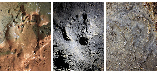 Traces of crawling in Italian cave give clues to ancient humans' social behaviour