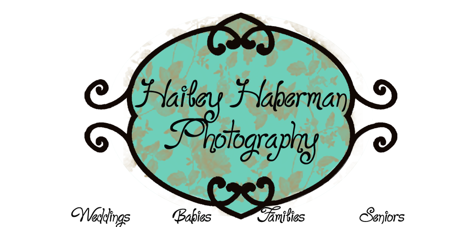 Hailey Haberman Photography