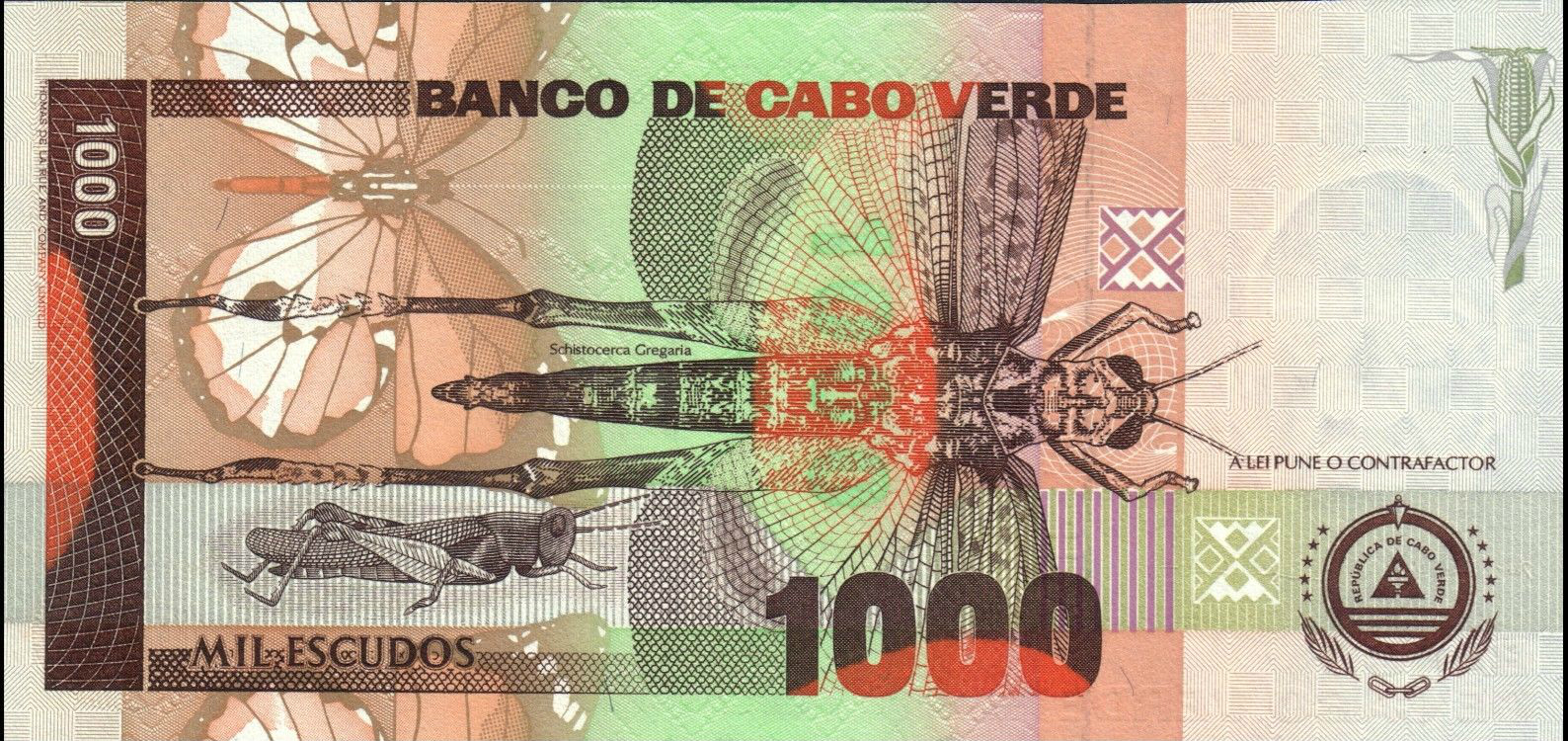 Cape Verde 1000 Escudos banknote 1992 WarblerWorld Banknotes & Coins