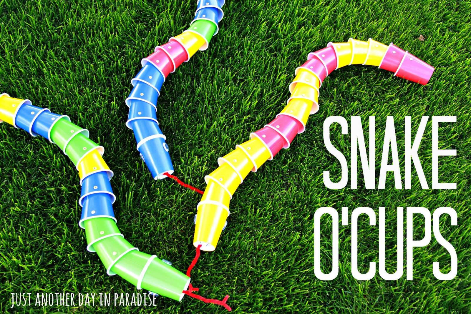 Fun with the Kids Fridays: Snake O'Cups