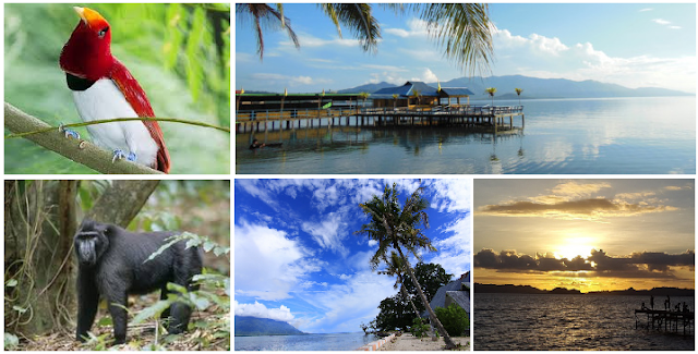 Tempat Wisata HALMAHERA SELATAN yang Wajib Dikunjungi (Provinsi Maluku Utara)