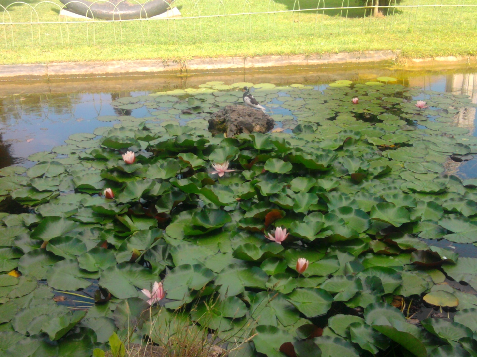 Amazon Chaussettes PersonnalisÃ©es Visage Pimkie Pantalon Jaune