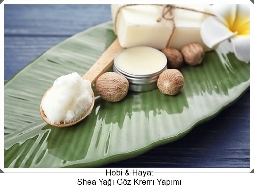 Shea Yagi Goz Kremi Yapimi Hayat Ve Insan