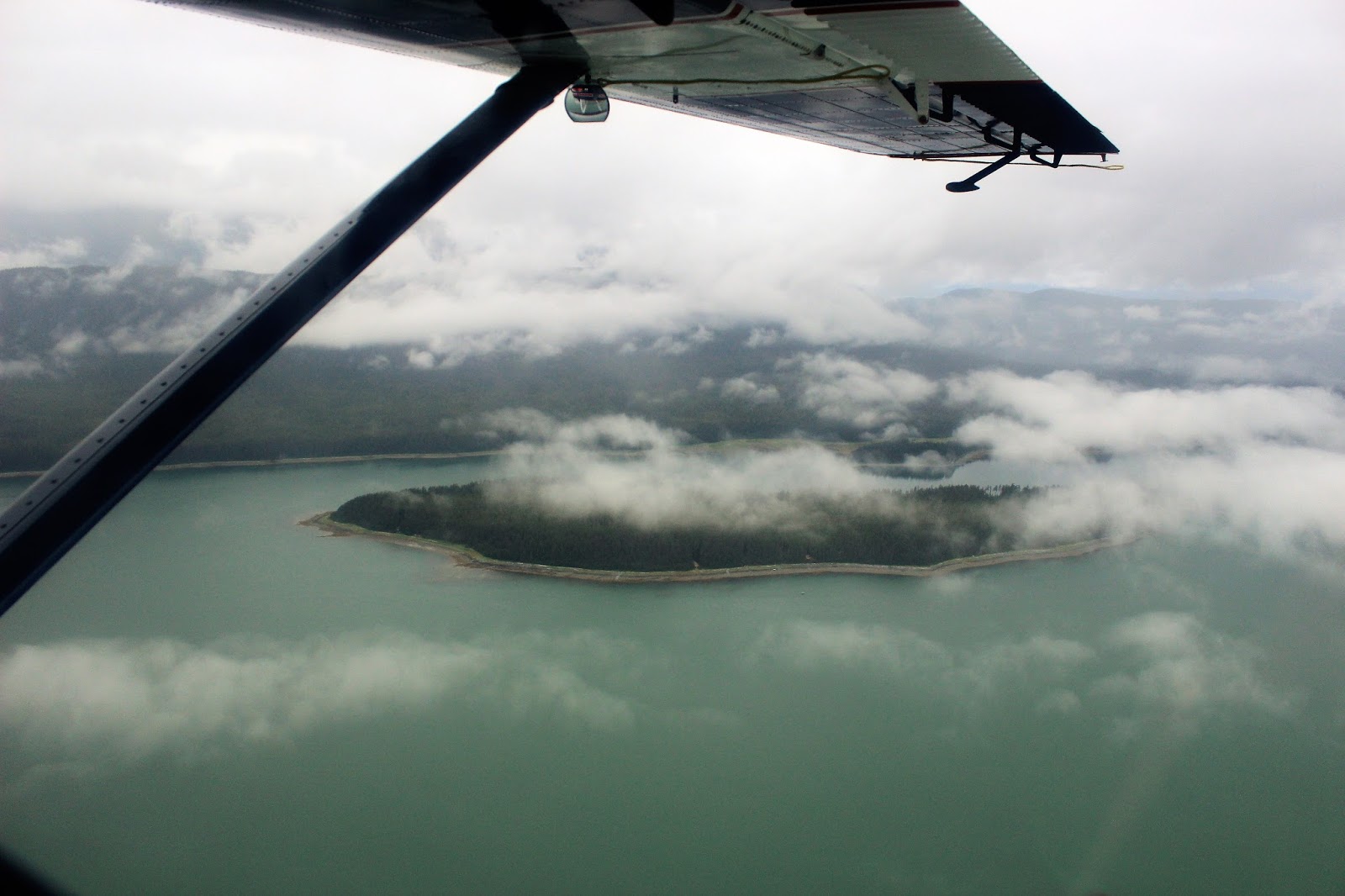 Souvenir Chronicles ALASKA! GRIZZLY BEAR WATCHING ON CHICHAGOF ISLAND