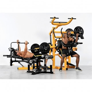 Powertec Workbench