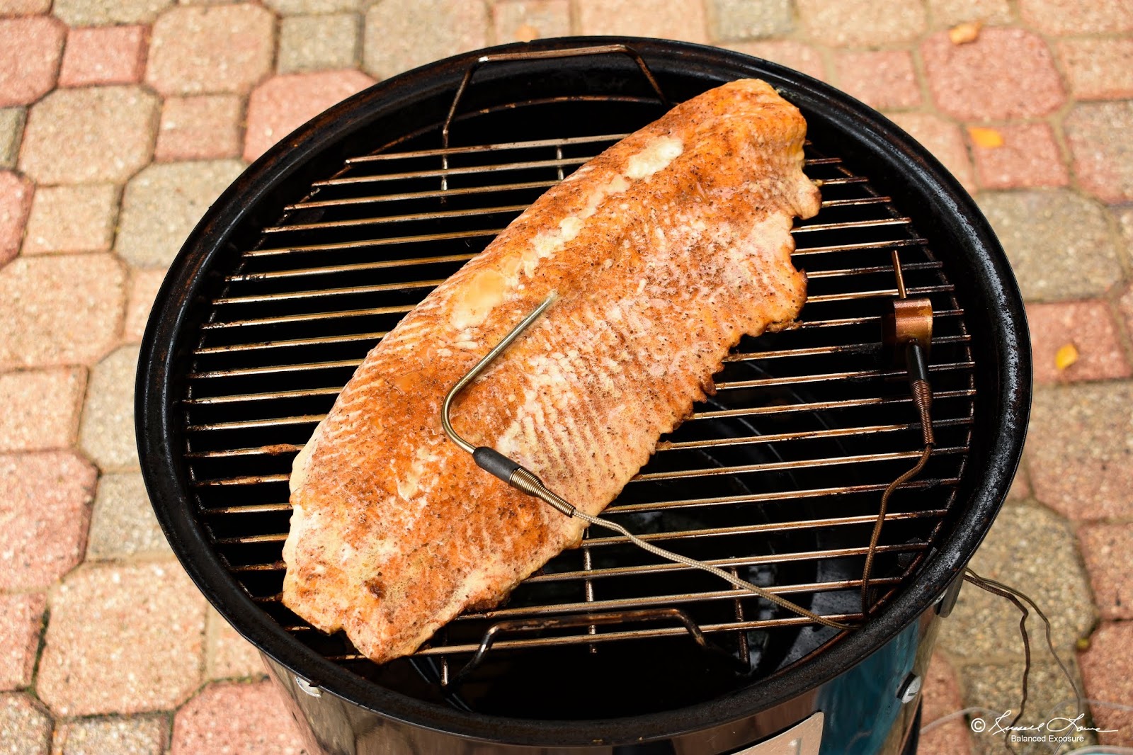 Russ' Culinary Adventures Smoked Lake Trout on the 14.5" er Smokey