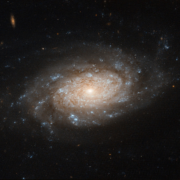 Barred Spiral Galaxy NGC 3259 spotted by Hubble