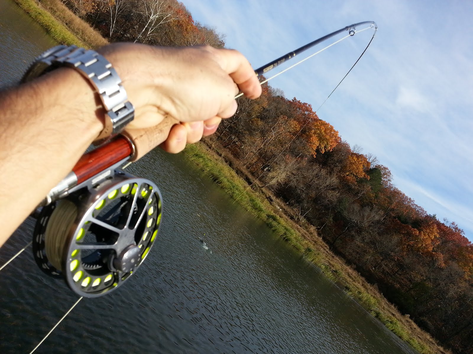 THE FLYJournal fly fishing experience LOWER ILLINOIS RIVER (Gore